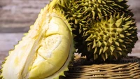 Durian Monthong paling populer di Thailand. Keistimewaannya terdapat pada ukuran yang besar hingga dagingnya yang kuning dan lembut. Foto: Thai Embassy