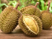Legit dan Berkhasiat! 5 Manfaat Konsumsi Durian Menurut Ahli Kimia