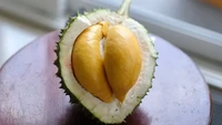 Provinsi Rayong, Thailand memiliki salah satu varietas durian unggulan bernama Puangmanee. Ukurannya hanya 1,5 - 2,5 kilogram per buah tetapi rasanya manis dengan daging berwarna kuning keemasan. Foto: Thai Embassy