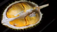 Penikmat durian dengan daging berwarna kuning keemasan yang pekat bisa memiliki Lueangthong. Daging tebal dengan tekstur yang kering tetapi legit rasanya. Foto: Year of the Durian