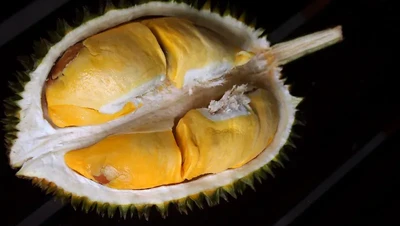 10 Durian Legit Asal Thailand yang Diburu Penggemarnya