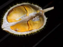 10 Durian Legit Asal Thailand yang Diburu Penggemarnya