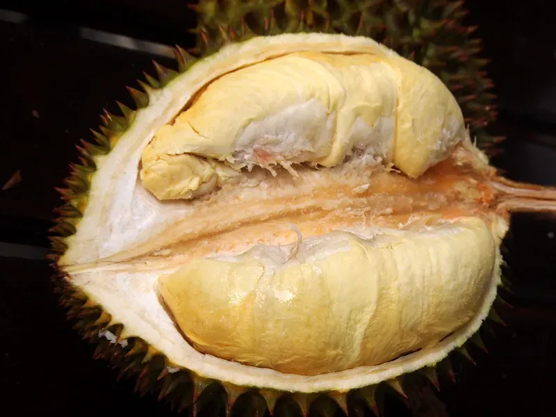 Durian