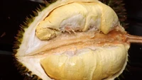 Toolthawai dianggap oleh masyarakat Thailand sebagai varietas durian yang spesial. Warnanya memang agak pucat tetapi rasanya digadang-gadang manis lembut seperti es krim vanila. Foto: Year of the Durian