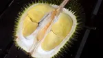 10 Durian Legit Asal Thailand yang Diburu Penggemarnya