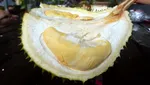 10 Durian Legit Asal Thailand yang Diburu Penggemarnya