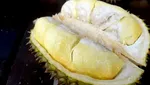 10 Durian Legit Asal Thailand yang Diburu Penggemarnya