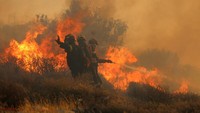 Ratusan petugas pemadam kebakaran berjuang melawan kebakaran pada Kamis di Pulau Crete, yang membakar sebagian besar hutan dan kebun zaitun serta memaksa evakuasi lebih dari 1.000 orang.  Foto: REUTERS/Stefanos Rapanis