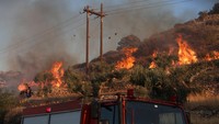 Api yang menyebar cepat di tengah cuaca panas dan angin kencang itu memaksa dikerahkannya ratusan personel dan puluhan unit pemadam. Foto: REUTERS/Stefanos Rapanis