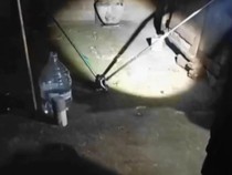 Hii! Ular Kobra Jawa 1,2 Meter Ngumpet di Dapur Warga Gunungkidul