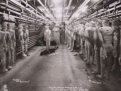 Foto Jadul Punya Kisah Mengerikan, Berani Lihat Semua?