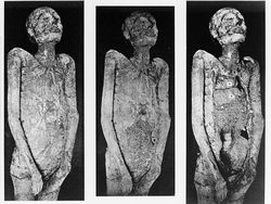 Foto Jadul Punya Kisah Mengerikan, Berani Lihat Semua?