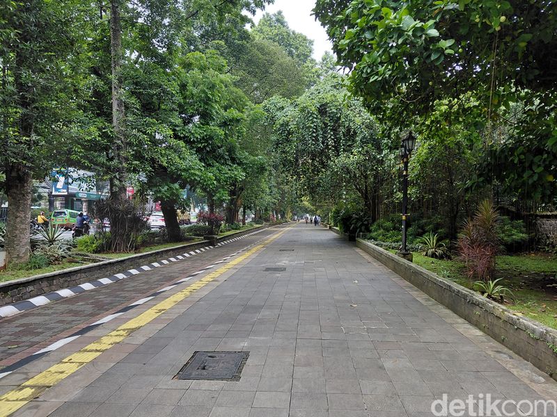 Hasil Kamera Samsung Galaxy A36 5G