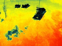 Penambang Timah Hilang Diterkam Buaya Muara di Bangka, Tim SAR Diturunkan