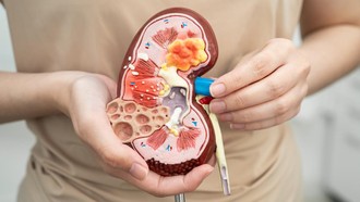 6 Makanan-Minuman yang Sebaiknya Dihindari Kalau Mau Ginjal Tetap Sehat