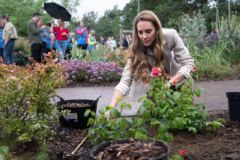 COLCHESTER, ENGLAND - JULY 2: Catherine, Princess of Wales gestures during a visit to the RHS's Wellbeing Garden at Colchester Hospital on July 2, 2025 in Colchester, England. The visit coincides with the donation of 50 Catherine's Rose plants, named after the princess by the RHS with funds from sales going to the Royal Marsden Cancer Charity. (Photo by Stefan Rousseau - WPA Pool/Getty Images)