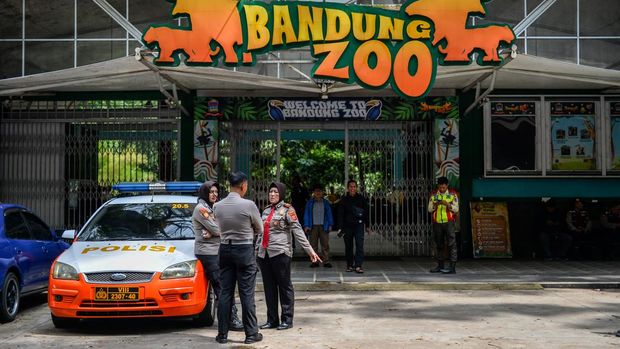 Petugas berjaga di depan loket pembelian tiket yang ditutup di Kebun Binatang Bandung, Jawa Barat, Kamis (3/7/2025). Akibat adanya dualisme kepengelolaan, manajemen Bandung Zoo menutup operasional kebun binatang untuk sementara hingga waktu yang belum ditentukan. ANTARA FOTO/Raisan Al Farisi