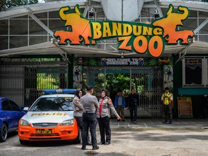 3 Fakta Pemkot Minta Lahan Bandung Zoo Segera Dikosongkan