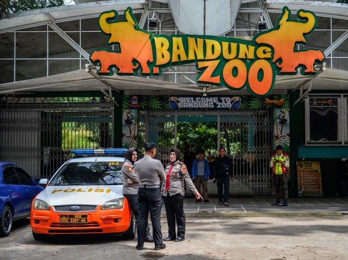 Petugas berjaga di depan loket pembelian tiket yang ditutup di Kebun Binatang Bandung, Jawa Barat, Kamis (3/7/2025). Akibat adanya dualisme kepengelolaan, manajemen Bandung Zoo menutup operasional kebun binatang untuk sementara hingga waktu yang belum ditentukan. ANTARA FOTO/Raisan Al Farisi
