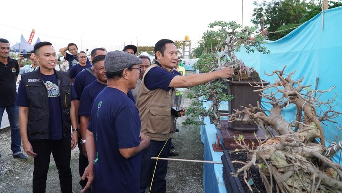 Pameran Bonsai di Lamongan