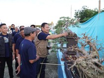 Pameran Bonsai Dukung Ekonomi Kreatif di Lamongan