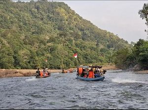 Tentang Listrik yang Tak Kunjung Menerangi Desa Pedalaman di Kampar Riau