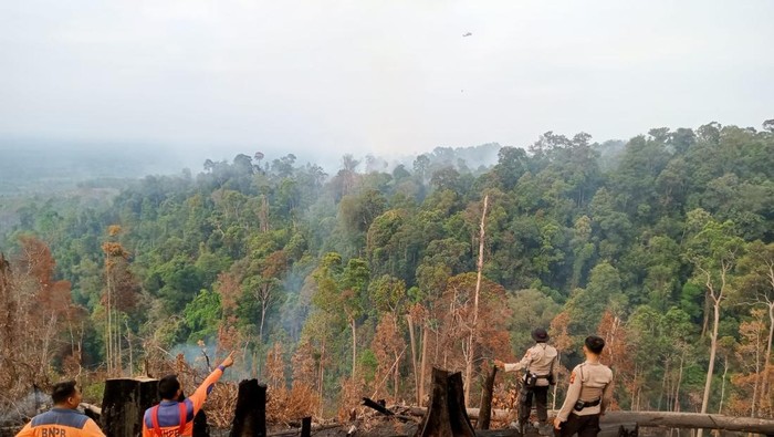 Polisi dan BPBD turun atasi karhutla di Rokan Hulu, lakukan water bombing, Rabu (2/7/2025).