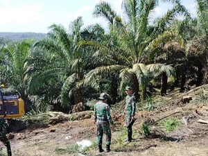Tesso Nilo di Titik Genting, Rehabilitasi Wajib Dibarengkan dengan Solusi Sosial