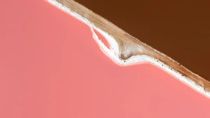 Jepretan bayangan pesawat di atas danau berwarna merah muda Laguna Hutt, Australia Barat berjudul Plane! Plane! karya David Mierowsky. Foto: David Mierowsky/ The Inaugural International Aerial Photographer of the Year