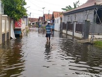 Bandengan Pekalongan 2 Bulan Terendam Rob, Ini Biang Keroknya