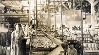 Karyawan perempuan di pabrik Fruitvale, Oakland sibuk memilah dan mencuci buah persik sekitar tahun 1900. Kala itu, Del Monte berkembang pesat sebagai produsen makanan kaleng. Foto: Archive Del Monte