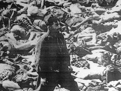 Potret Kejadian Tragis yang Terekam Sepanjang Sejarah Dunia