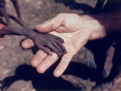 Potret Kejadian Tragis yang Terekam Sepanjang Sejarah Dunia