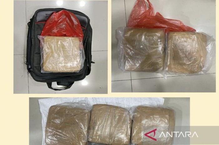 Ganja seberat 9 kg diamankan dari dua tersangka di kawasan Ciracas, Jaktim, Rabu (2/7/2025) (ANTARA/HO-Ditresnarkoba Polda Metro Jaya)