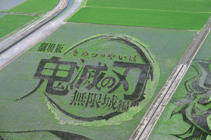 Goresan Seni Tanjiro Kamado Kimetsu no Yaiba Ada di Sawah!