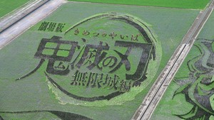 Buat melihat karya seninya, harus dari Menara Gyoda yang sudah disiapin oleh pemerintah kota Gyoda. Gimana kamu yang ada di Jepang, siap melihat? Foto: Gyoda_PR/ Twitter