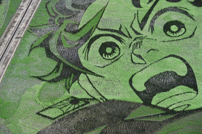 Goresan Seni Tanjiro Kamado Kimetsu no Yaiba Ada di Sawah!