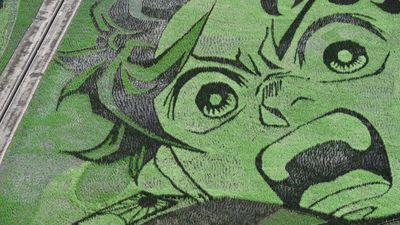Goresan Seni Tanjiro Kamado Kimetsu no Yaiba Ada di Sawah!