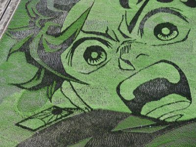 Goresan Seni Tanjiro Kamado Kimetsu no Yaiba Ada di Sawah!
