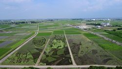 Goresan Seni Tanjiro Kamado Kimetsu no Yaiba Ada di Sawah!