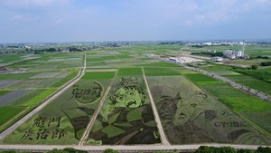 Potret karya seni sawah ini ada di kota Gyoda, Prefektur Saitama, Jepang.  Foto: Gyoda_PR/ Twitter