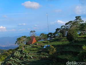 Usir Penat di Ketinggian, Ini 4 Tempat Ngopi Santai di Kuningan
