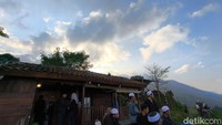 Suasana Raga Kopi Kuningan yang penuh dengan tumbuhan dan pepohonan yang rindang