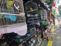 Pedagang Burung Barito Jaksel Harap Tak Direlokasi ke Lenteng Agung