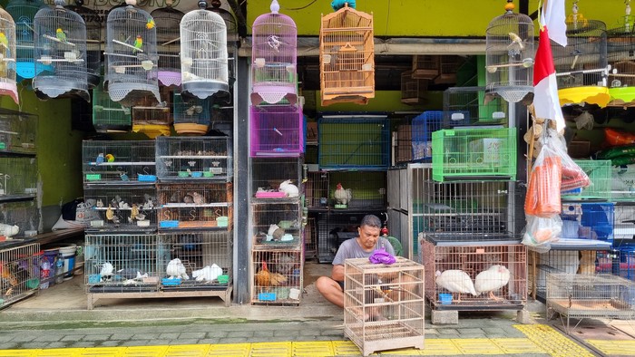 Kios-kios pedagang burung di Jalan Barito (Taufiq/detikcom)