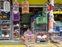 66 Pedagang Burung di Barito Jaksel Dipindah ke Lenteng Agung Bulan Depan