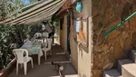Berusia 60 Tahun, Bakery Legendaris di Lebanon Ini Tetap Jadi Primadona