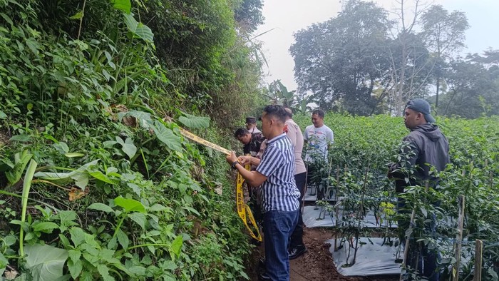 Kebun cabai lokasi ditemukannya benda mirip granat saat disterilisasi di Dusun Ngelo, Desa Getasan, Kecamatan Getasan, Kabupaten Semarang, Kamis (3/7/2025).