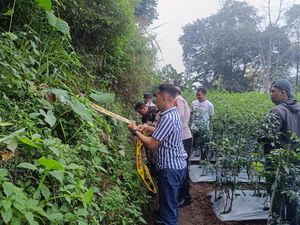 Warga Getasan Semarang Temukan Benda Mirip Granat Saat Bersihkan Kebun Cabai