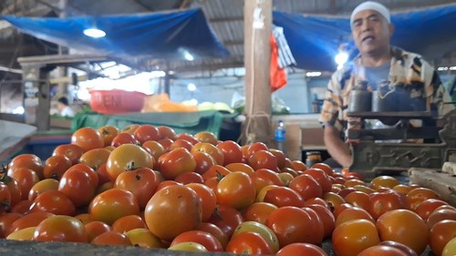 Pedagang di Pasar Induk Mandalika keluhkan sepinya warga untuk membeli tomat, Jumat (4/7/2025). (Nathea Citra/detikBali)